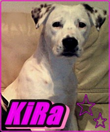 Kira